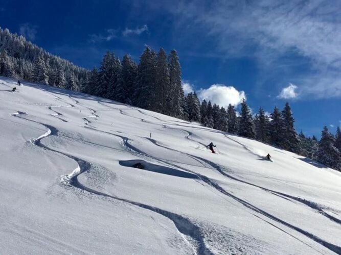Holiday Flat Daniela, Hippach Im Zillertal エクステリア 写真